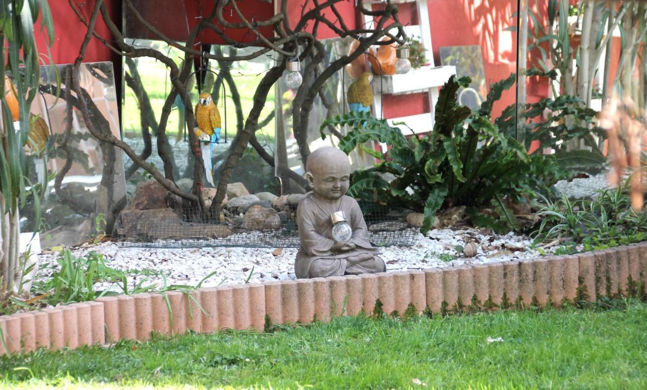 Maison Toulousaine Avec Jardin Toulouse Exterior foto